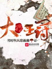 《大明王冠》小说封面