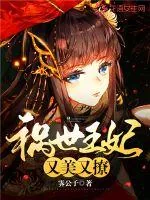 《祸世王妃又美又撩》小说封面