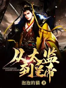 《从太监到皇帝》小说封面