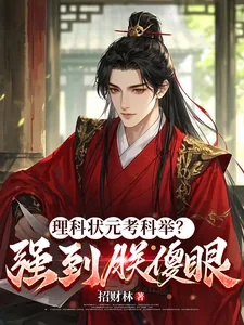 《理科状元考科举？强到朕傻眼》小说封面