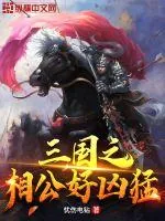《三国之相公好凶猛》小说封面