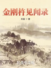 《金刚杵见闻录》小说封面