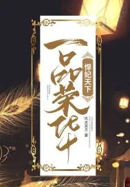 《一品荣华：悍妃天下》小说封面