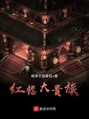 《红楼大贵族》小说封面