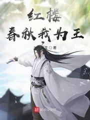 《红楼春秋我为王》小说封面