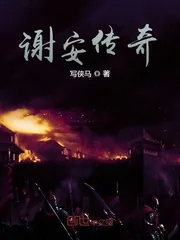 《谢安传奇》小说封面