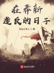 《在莽新造反的日子》小说封面