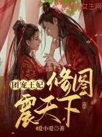 《团宠王妃修图震天下》小说封面