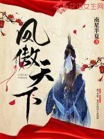 《凤傲天下》小说封面