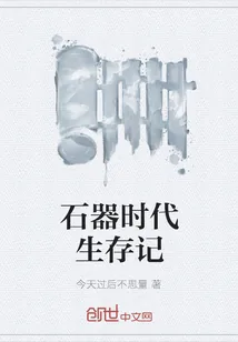 《石器时代生存记》小说封面