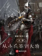 《大秦：从小兵莽到大将》小说封面