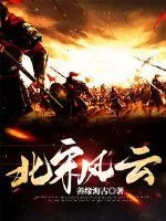 《北宋风云》小说封面