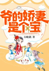 《爷的娇妻是个宝》小说封面