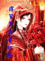《将军为我着红妆》小说封面