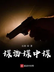 《谍海谍中谍》小说封面