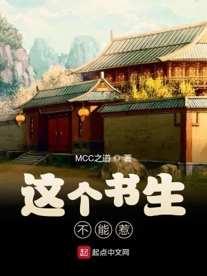 《这个书生不能惹》小说封面