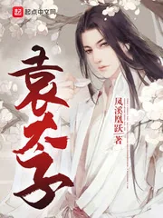 《袁太子》小说封面