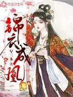 《锦衣成凰》小说封面