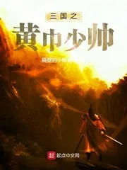 《三国之黄巾少帅》小说封面