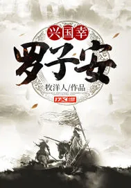 《兴国幸:罗子安》小说封面