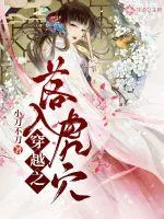 《穿越之落入虎穴》小说封面