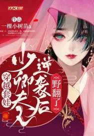 《穿越套娃：少卿夫人逆袭后野翻了》小说封面