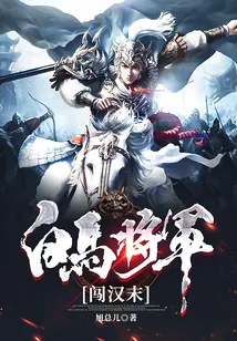 《白马将军闯汉末》小说封面