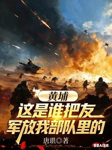 《黄埔：这是谁把友军放我部队里的》小说封面