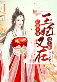 《启禀王爷：王妃又在装柔弱了！》小说封面