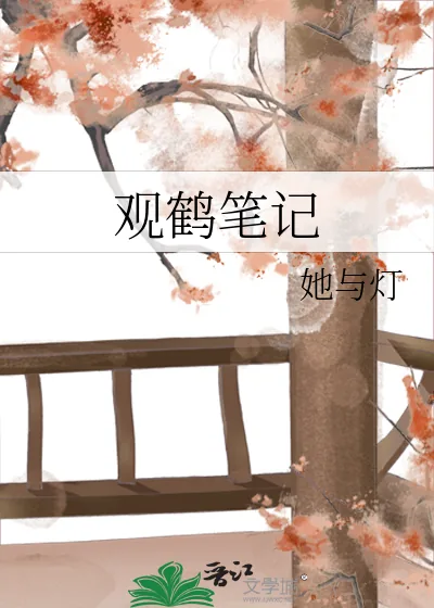 《观鹤笔记》小说封面