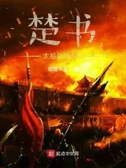 《楚书，太祖皇帝本纪》小说封面