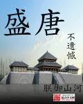 《盛唐不遗憾》小说封面