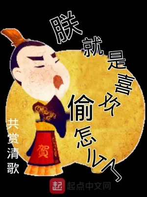 《朕就是喜欢偷怎么了》小说封面