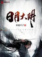 《日月大明》小说封面