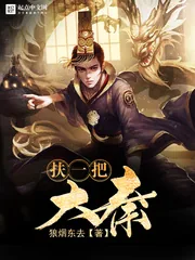 《扶一把大秦》小说封面
