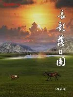 《长歌落日圆》小说封面