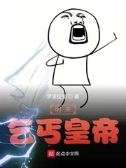 《明末乞丐皇帝》小说封面