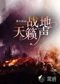 《战地天籁声》小说封面