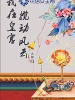《我在皇宫搅动风云》小说封面