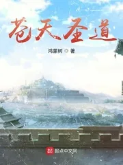 《苍天圣道》小说封面