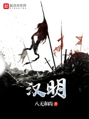《汉明》小说封面