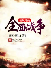 《被玩坏的全面战争》小说封面