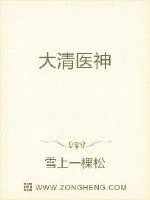 《大清医神》小说封面