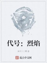 《代号：烈焰》小说封面