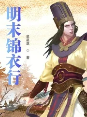 《明末锦衣行》小说封面