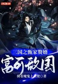 《三国之甄家赘婿富可敌国》小说封面
