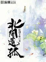《北周遗孤》小说封面