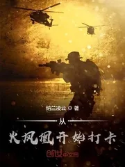 《从火凤凰开始打卡》小说封面