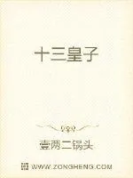 《十三皇子》小说封面