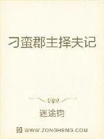 《将军，你我命中注定》小说封面